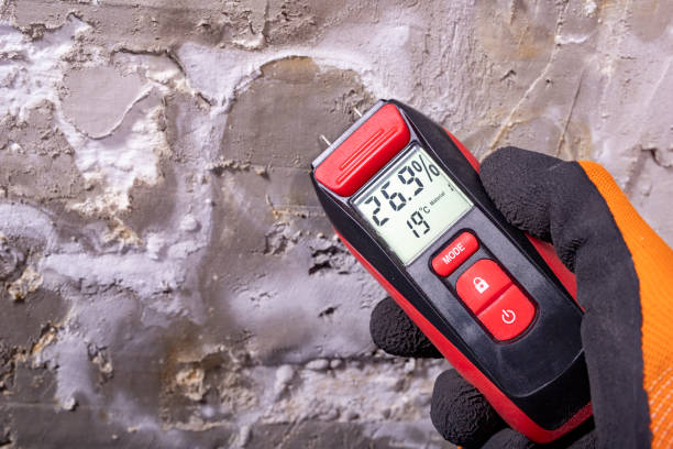 Best Home Mold Removal  in Paris, TX