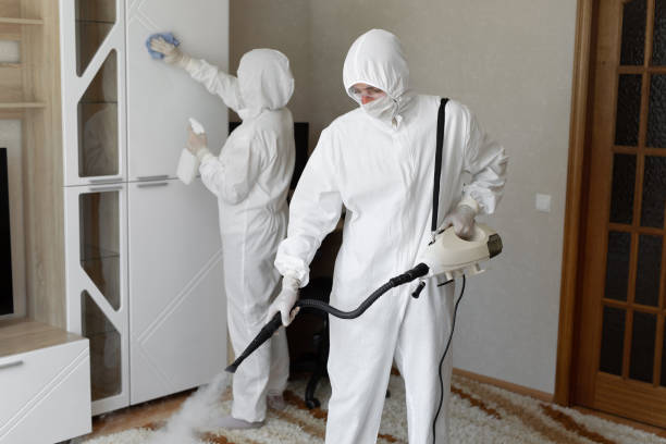 Best Mold Remediation Services  in Paris, TX