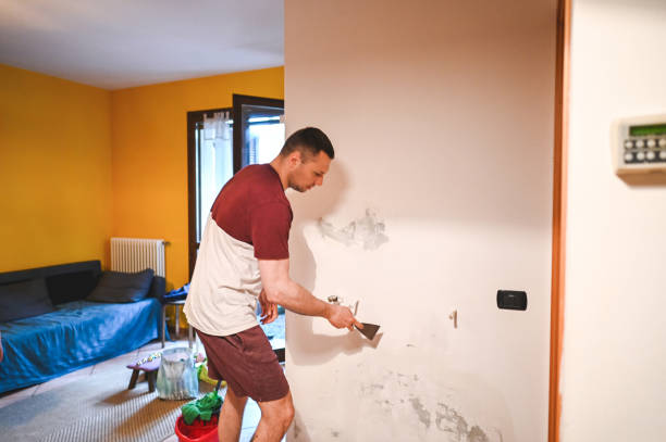 Best Mold Removal Company Near Me  in Paris, TX
